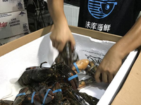 行业动态4.png