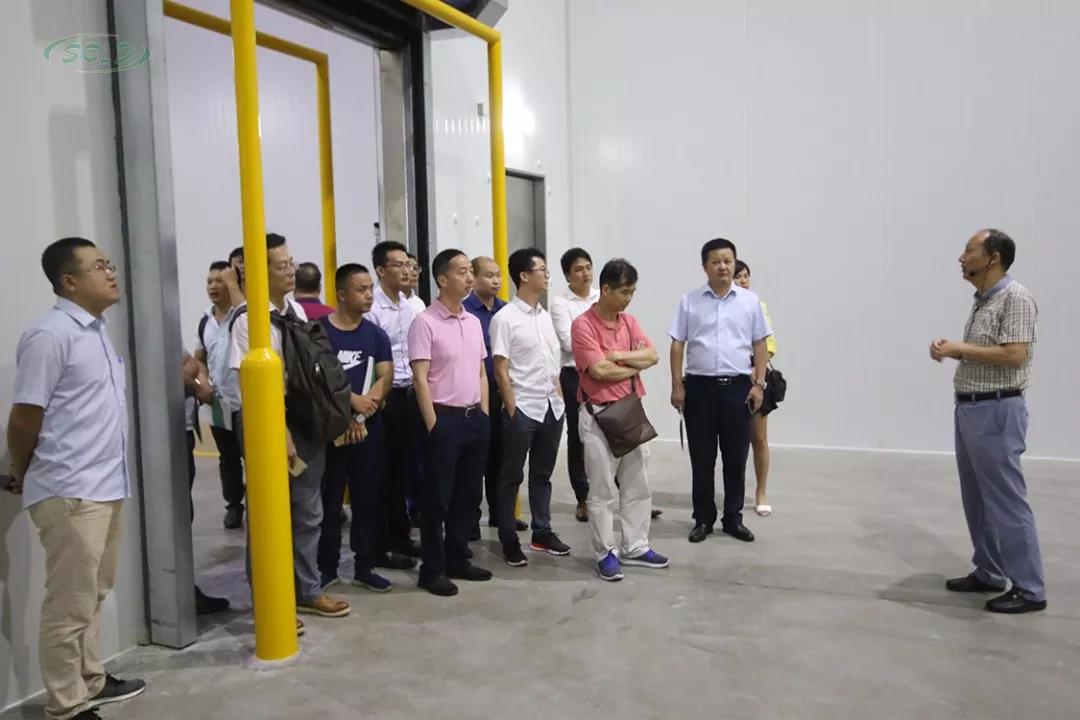 合捷2.jpg